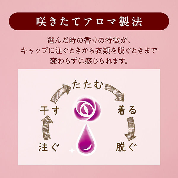 Amazon.co.jp: 【美浜卸売・まとめ買い】ソフラン アロマリッチ