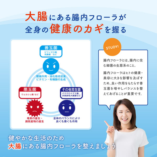 森永 生きて届くビフィズス菌 BB536(30日分) 13g(30カプセル 森永 生きて届くビフィズス菌 BB536(30日分) 13g(30カプセル