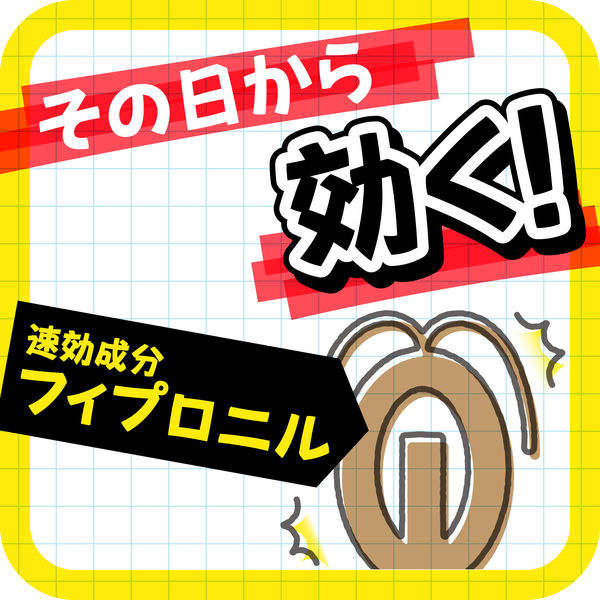 ゴキブリ 駆除剤 置き型 ブラックキャップ 大容量 1セット（1箱