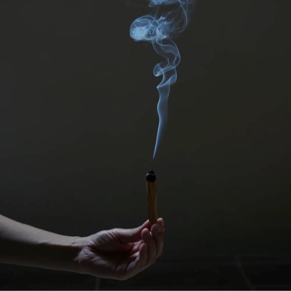 生活の木 パロサント スティック 1袋（5本入） - アスクル