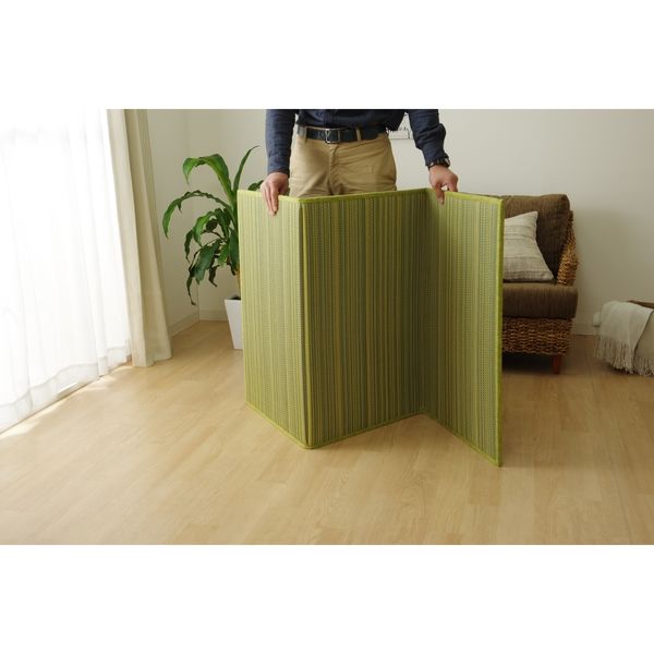 イケヒコ・コーポレーション ルシオ 大判長方形 掛 GY 205X285 イケヒコ・コーポレーション ルシオ 大判長方形 掛 GY 205X285