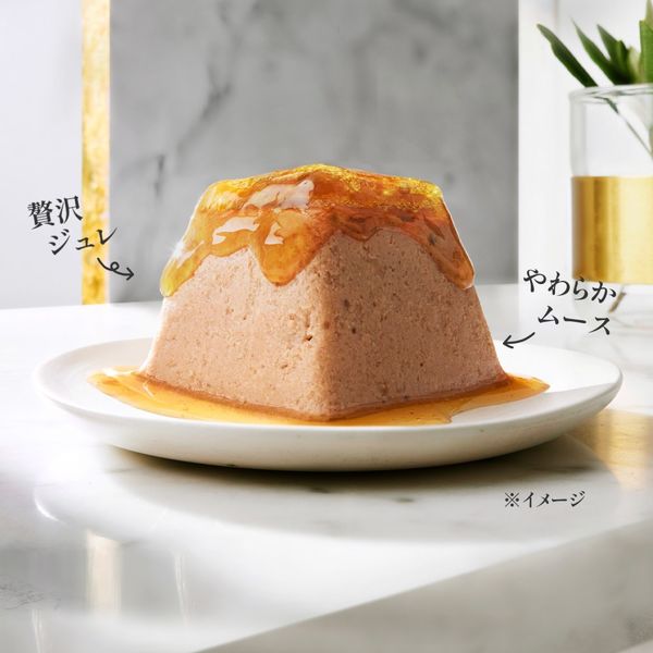 モンプチ ジェムズ 2個入り×27個と金のだしちゅ〜る1個 モンプチ ジェムズ チキン ムース仕立て とろける 贅沢 ジュレソース