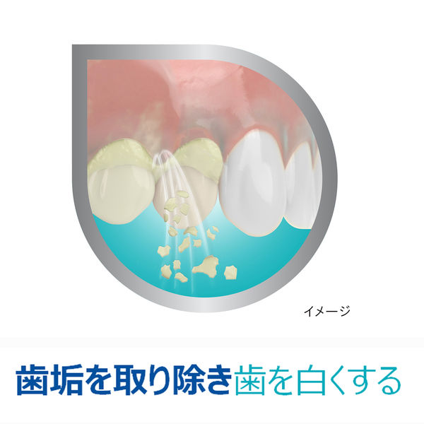 ポリデント デンタルラボ 薬用ハミガキ【医薬部外品】 歯周病 (歯肉炎