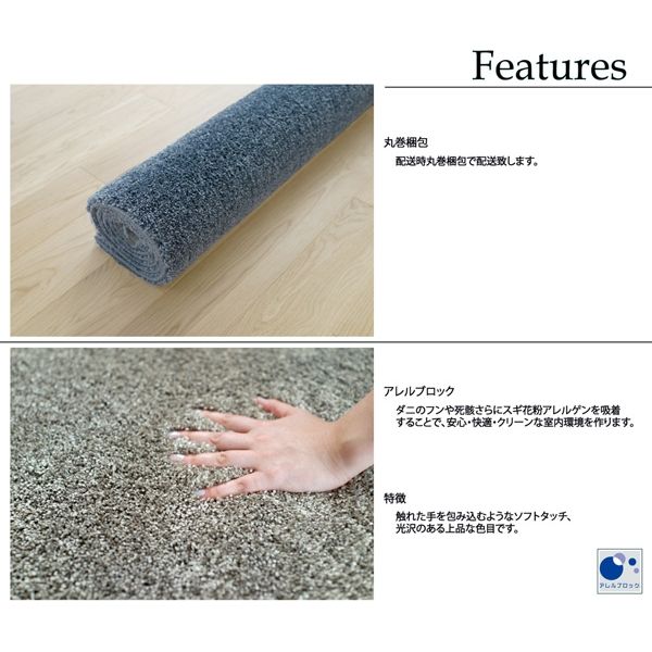 スミノエ BIG SIZE RUG イルミエ ラグ 防炎 防音 1000×1000mm