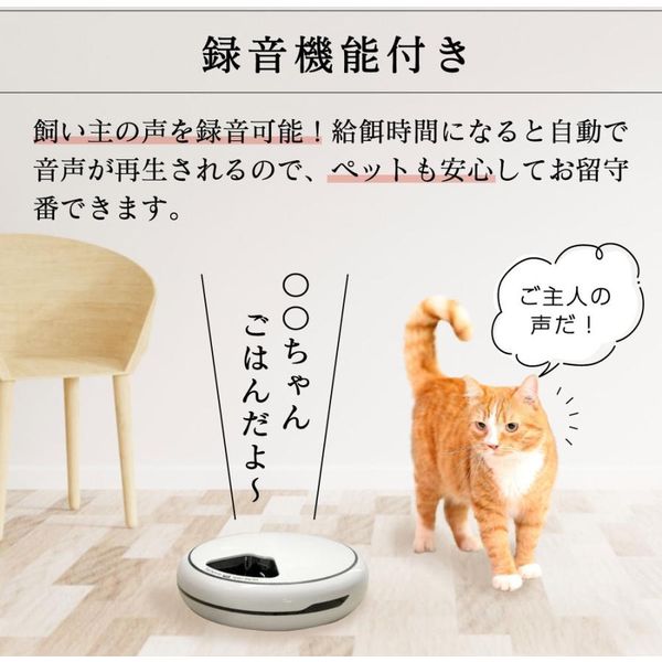 ペットフィーダー 好い 自動給餌給 ネコ＆犬用 キャット ドッグ