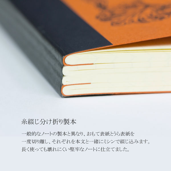ライフ ノーブルノート A4 5ミリ方眼 100枚 1冊 N31 - アスクル