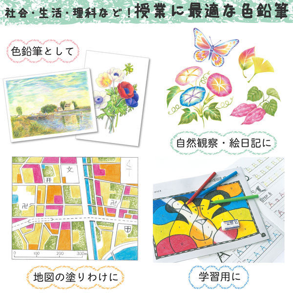 サクラクレパス 色鉛筆/クレヨン/絵の具 （学童用） クーピー
