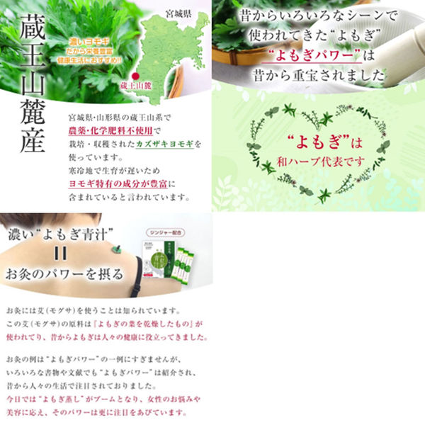 【りんりんさん専用】サントリーウェルネス極の青汁　90包✖️2箱 Amazon | サントリーウエルネス公式 サントリー 極の青汁