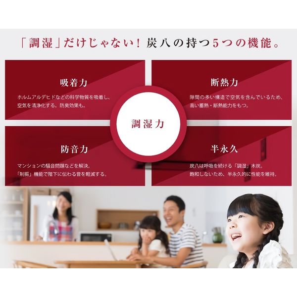 炭八 調湿木炭 3L×5個+スマート小袋×2個 1セット 出雲カーボン
