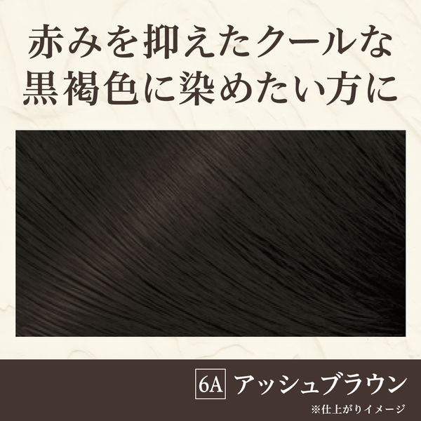メンズビゲン TAKUMI -匠- 6A アッシュブラウン 白髪染め ホーユー - アスクル