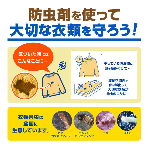 バラ苗 日本ばら園 減農薬バラ苗販売、バラ苗専門店、年中発送