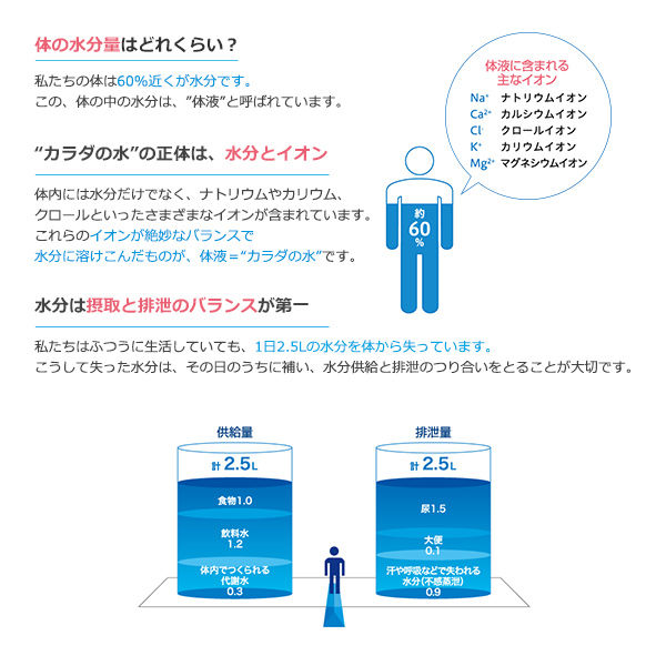 大塚製薬 ポカリスエット イオンウォータースティック（180ml用） 1