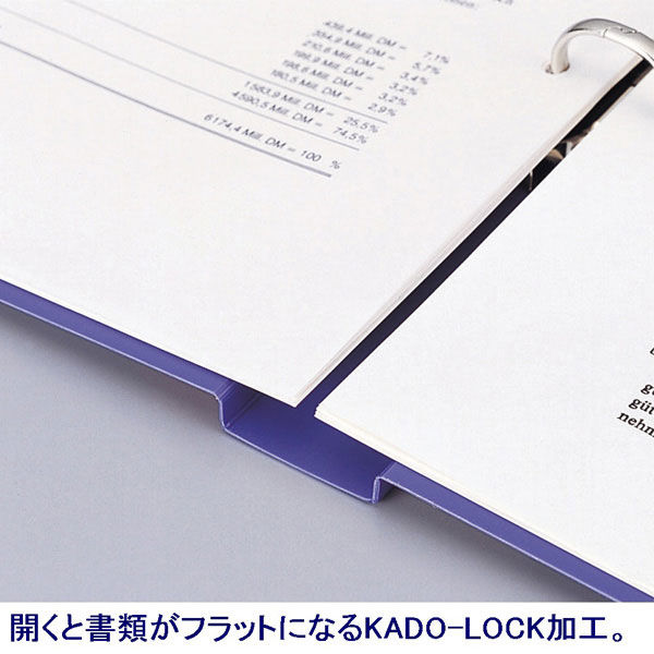 リヒトラブ リングファイル A4タテ 背幅36mm 緑 F877U 1セット(30冊:10冊入×3箱) リヒトラブ リングファイル A4タテ 背幅36mm 緑 F877U 1セット(30冊:10冊入×3箱)