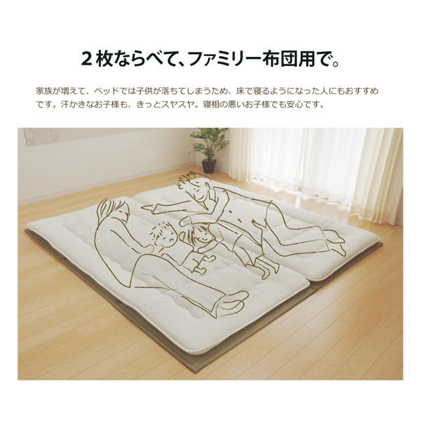 イケヒコ・コーポレーション い草マットレス 約100×210cm シングル