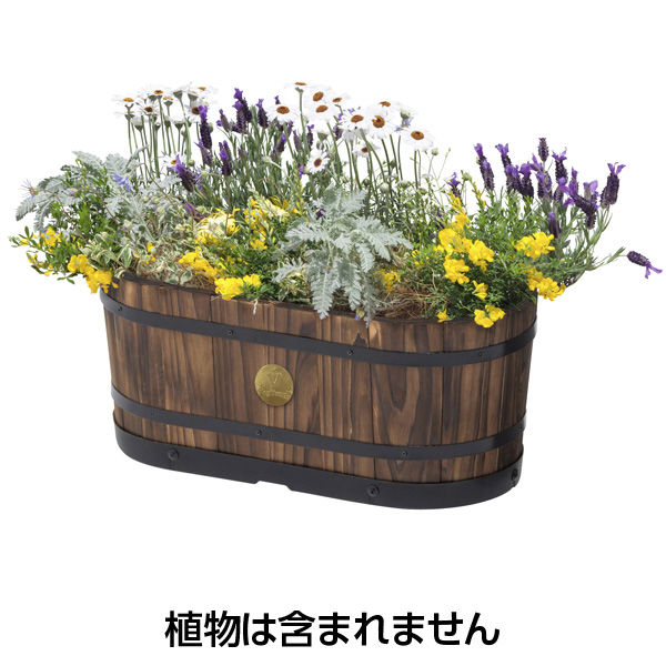 バスケットプランター メルシー | Season Shop ELF