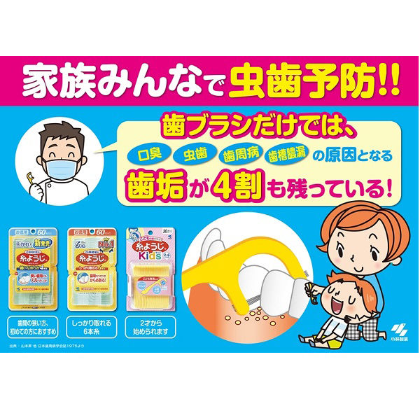 生葉（しょうよう） 歯槽膿漏を防ぐ 薬用ハミガキ ハーブミント味