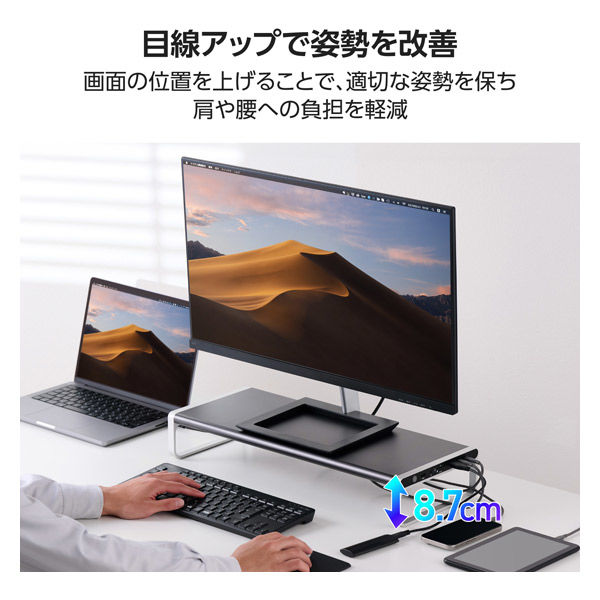 モニタースタンド型 ドッキングステーション 12in1 DST-W08