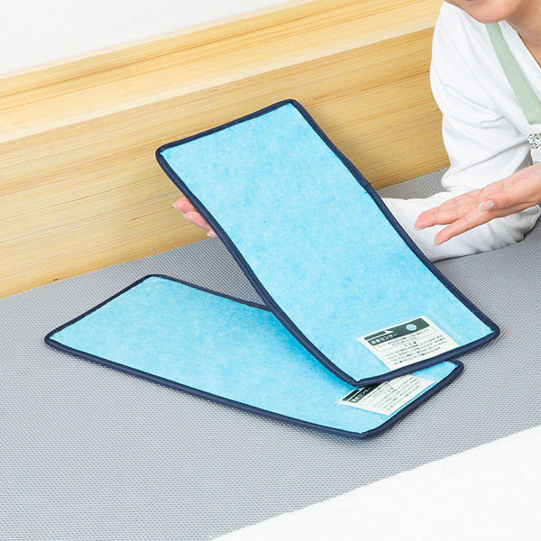 アストロ 気軽に除湿!防ダニ抗菌防臭シート 2枚組 617-77 1セット(2枚