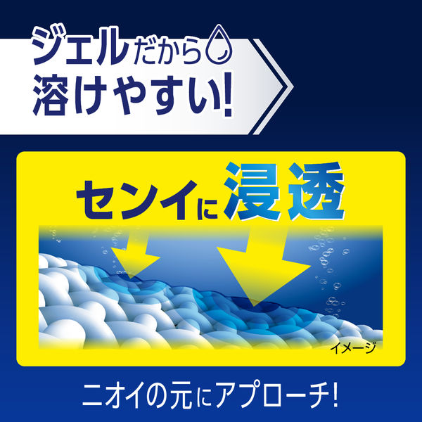 ワイドハイター 消臭専用ジェル フレッシュフローラル 本体 570ml 1個