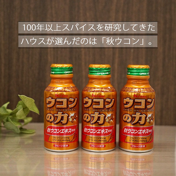 ハウスウェルネスフーズ ウコンの力 100ml 1セット（6缶入×2箱） ウコンドリンク