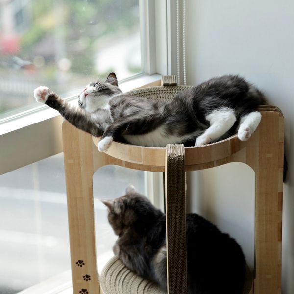 猫壱 バリバリボウルタワー 1個 爪とぎ - アスクル 猫壱 バリバリボウルタワー 1個 爪とぎ - アスクル