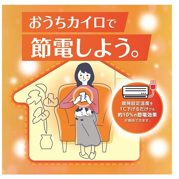 靴下用 カイロ 1セット（15足入×4個） エステー オリジナル - アスクル