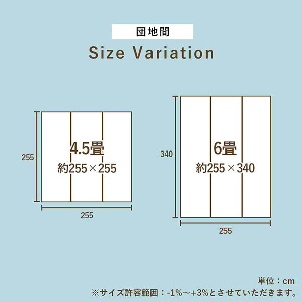 イケヒコ・コーポレーション い草ラグ 抗菌防臭 NDXルネ 団地間