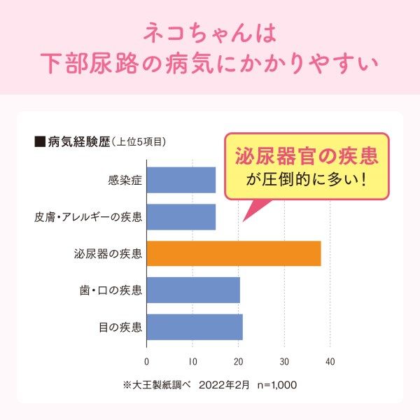 ねこまる◎即購入OK様確認ページ ねこまる◎即購入OK様確認ページ ねこまる◎即購入OK様