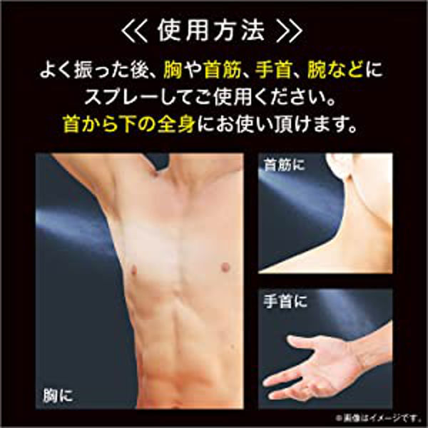 AXE（アックス）男性用 ボディスプレー フレグランス ゴールド
