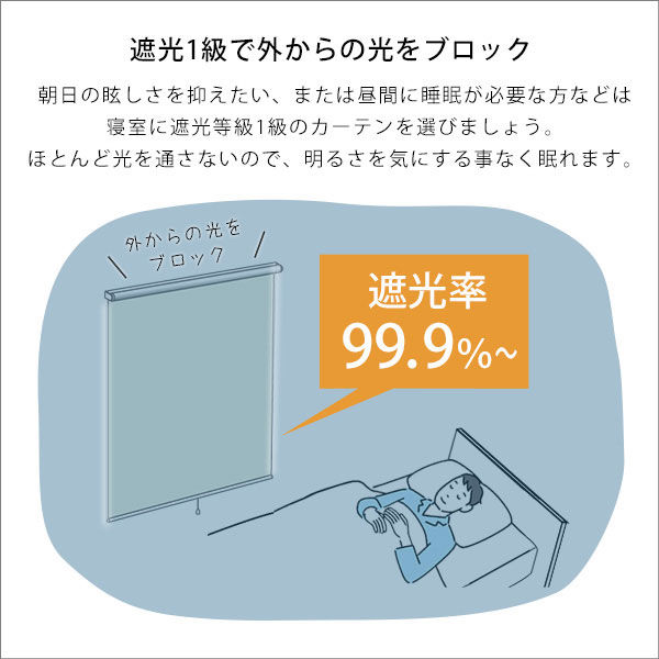 ホームテイスト 壁空け不要 つっぱりロールスクリーン 遮光タイプ