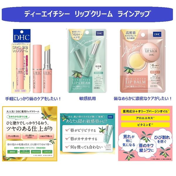 DHC 薬用リップクリーム グレージュ 2本 無香料