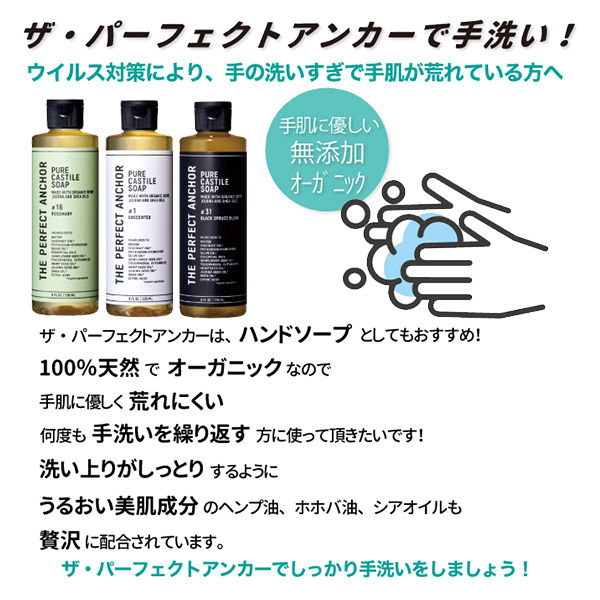 サハラ・インターナショナル ザ・パーフェクトアンカー アン