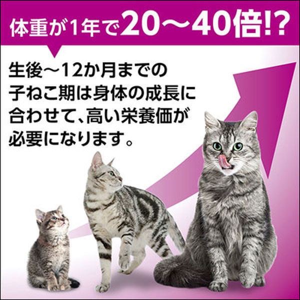 お得なアソート）カルカン 子猫用 まぐろ 96袋（3種×32袋）猫 