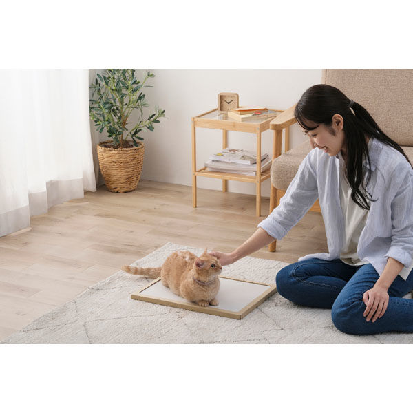 アイリスオーヤマ ペットマット 猫 冬 夏 珪藻土マット 日本製