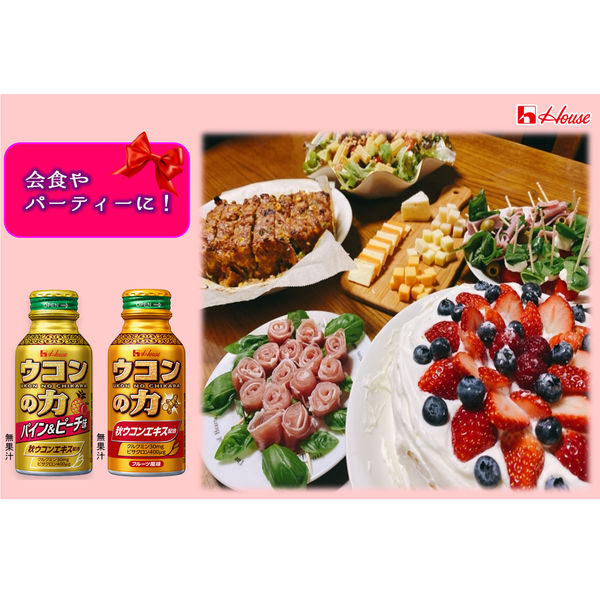 ハウスウェルネス ウコンの力 ウコンエキスドリンク 100ml