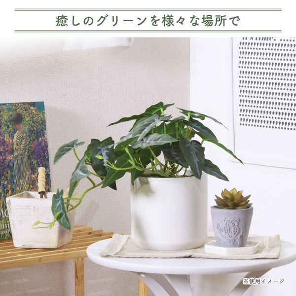 クリーンアワー(使用済み) 楽天市場】【組立不要】ゴミ収集庫 屋外 ダイケン CKM-TN60 完成