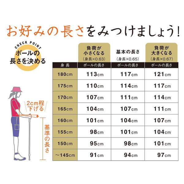 HATACHI プログレッシブグリップ2本杖 ノルディックウォーキング
