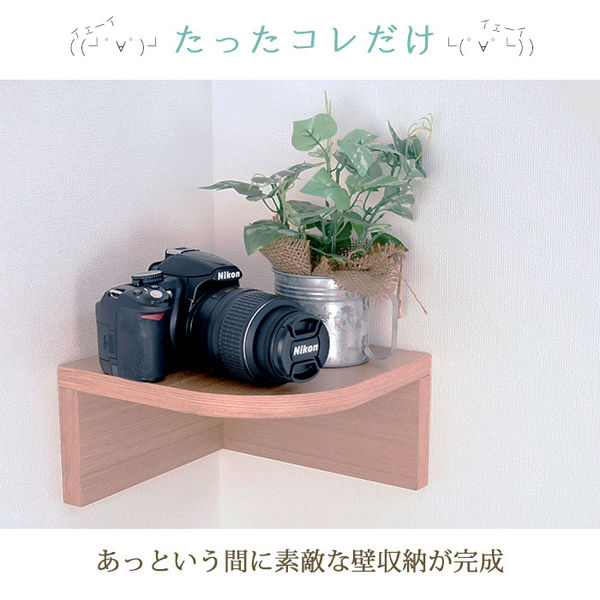 スタープラチナ 壁美人シェルティシリーズ コーナーシェルフ ホワイト