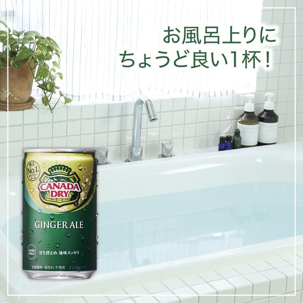 コカ・コーラ カナダドライ ジンジャーエール 160ml 1箱（30缶入