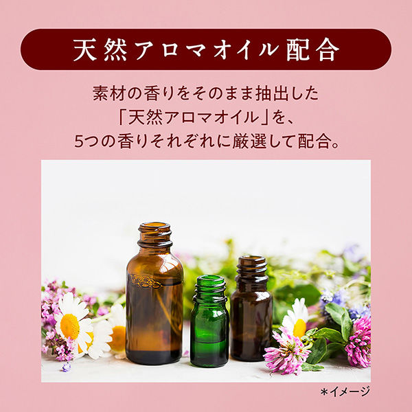 ソフラン アロマリッチ エリー 本体 480mL 1個 柔軟剤 ライオン