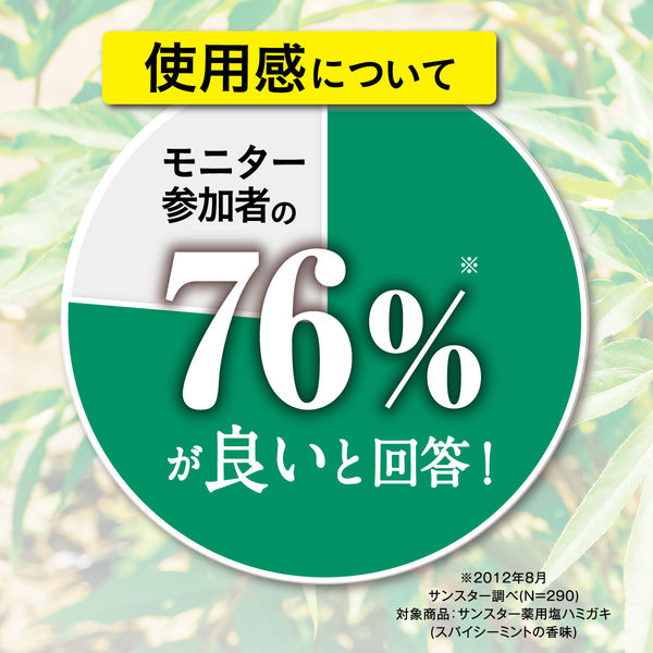 当帰の力 薬用 塩ハミガキ すっきりハーブ 85g 1セット（2本） サンスター 歯磨き粉 生薬 当帰 口臭 ねばつき 歯槽膿漏 歯肉炎 歯周病