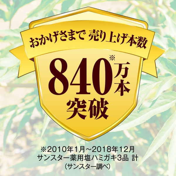 当帰の力 薬用 塩ハミガキ しみる歯ケア 82g 1セット（2本） サンスター 歯磨き粉 生薬 当帰 口臭 歯槽膿漏 歯肉炎 歯周病 知覚過敏