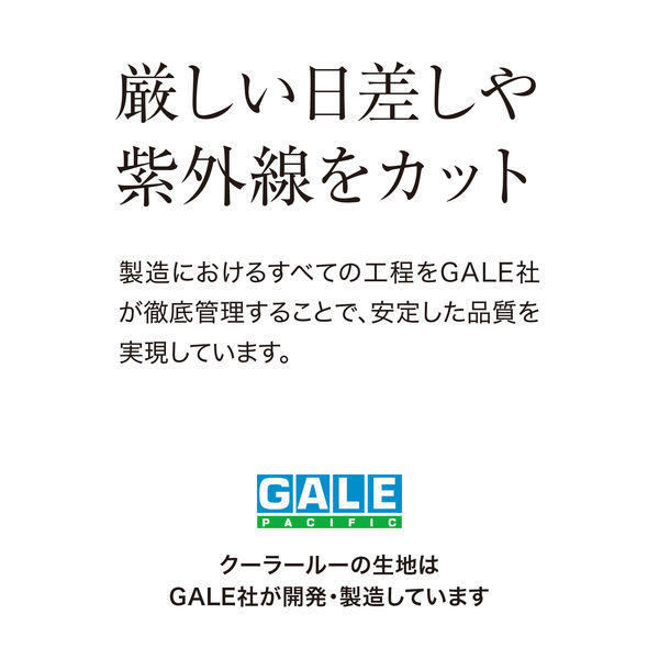 タカショー クールサマーオーニング 3000 CSA-30M モカ 1台 （直送品） - アスクル