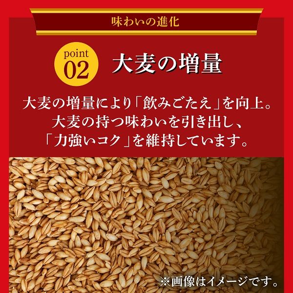 発泡酒 本麒麟 500ml×2ケース/48本 発泡酒 第3のビール キリン 本麒麟 500ml×2ケース/48本(048