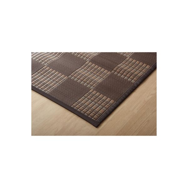 ラグ PPカーペット 『Fウィード』 ブラウン 江戸間6畳 (約261×352cm)
