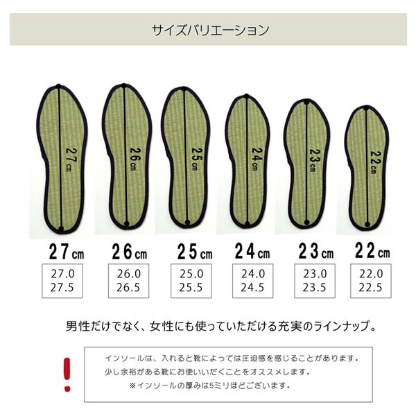 インソール レディース 消臭 抗菌 『い草インソール』 ネイビー 約22cm