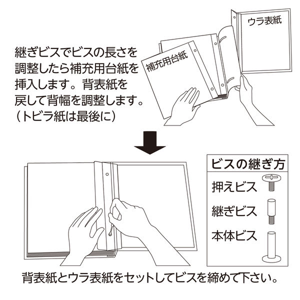 セキセイ スペア台紙<ライトフリー>M (台紙5枚入り) XP-55F-00 1 セキセイ スペア台紙<ライトフリー>M (台紙5枚入り) XP-55F-00 1
