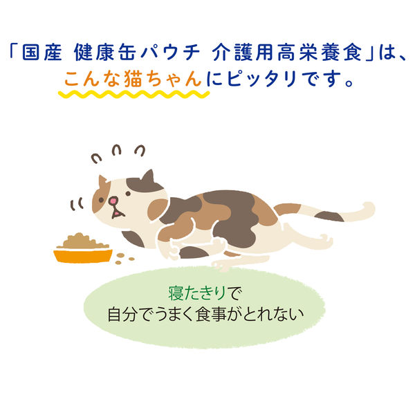 健康缶 介護用 高栄養食 とろとろまぐろペースト 国産 30g 12袋 キャットフード 猫用 パウチ - アスクル