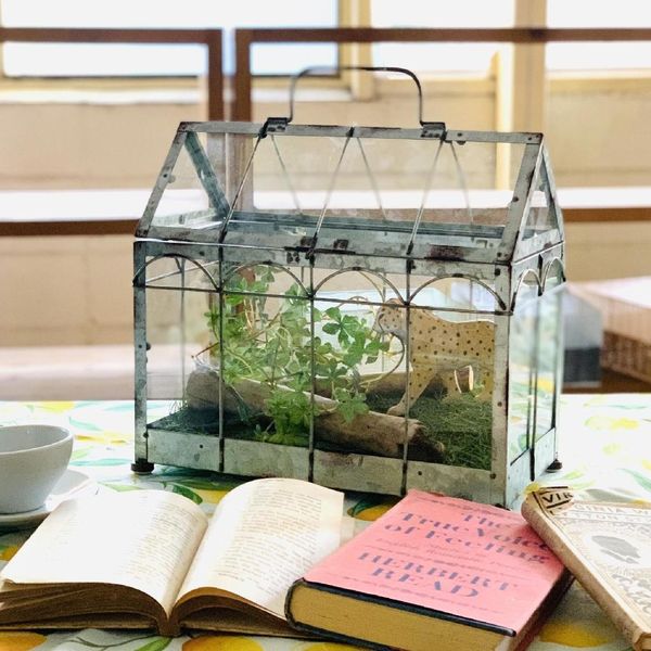 テラリウム作品】シダシリンダーM（W90×H130mm）｜シダの