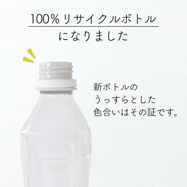 アスクル・ロハコ限定】伊藤園 香り豊かなお茶 緑茶 265ml ラベルレス 1セット（120本） オリジナル - アスクル